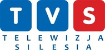 tvs-logo-01